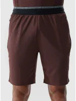 Pánske športové šortky 4F