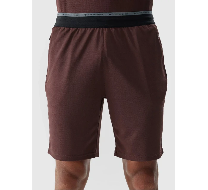 Pánske športové šortky 4F