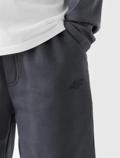 Chlapčenské tepláky 4F