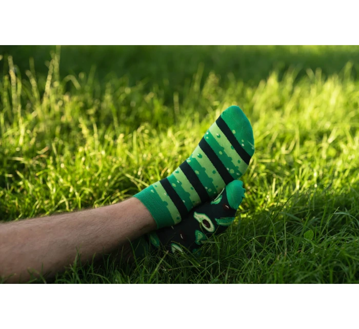 Ponožky  Dark Green Více model 17698011 - More