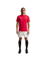 DriFit Park VIII pánské tričko červené model 21910898 657 pánské - NIKE DriFit Park VIII pánské tričko červené model 21910898 657 pánské - NIKE