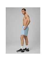 Pánské plážové šortky boardshorts model 22220079 - 4F