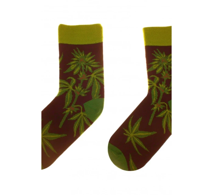 Obrázkové ponožky 80 Funny herbs - Skarpol