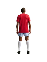 Pánske tričko Nike Dri-Fit Park 26 SS Top Red HM7127 657 Pánske