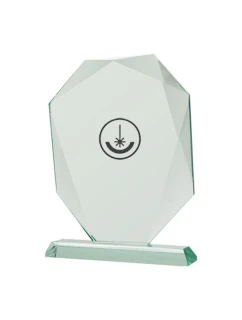 Trofeum szklane grawerowane z etui