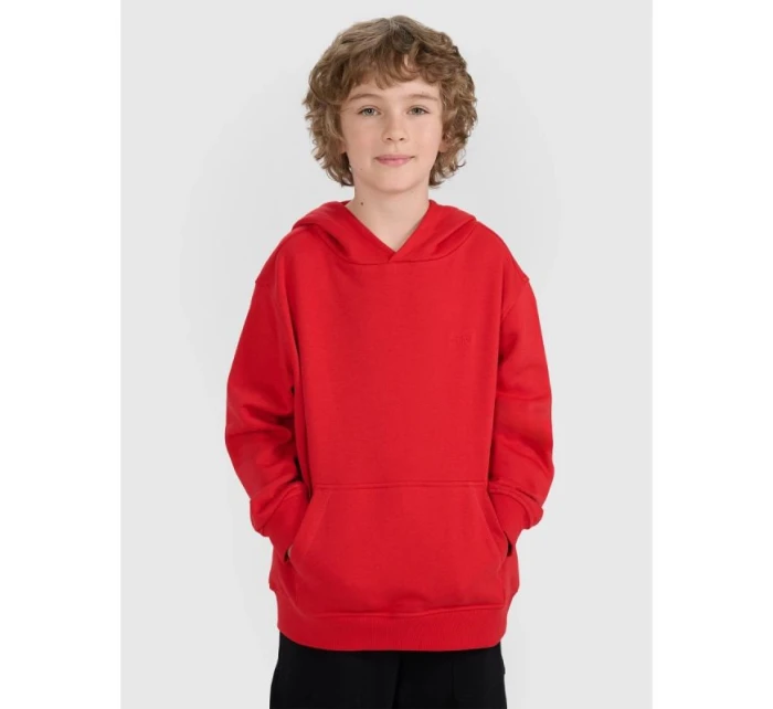 Mikina JUNIOR model 21735848 - 4F