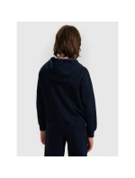 Chlapčenská mikina s kapucňou 4F 4FJWMM00TSWSM1860-31S