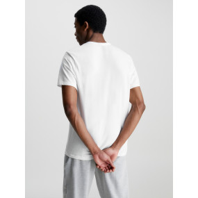Pánske tričko Lounge T-Shirt Modern Structure 000NM2170E100 biela - Calvin Klein
