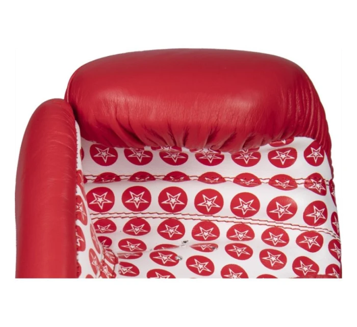 Boxerské rukavice  10 oz model 21348878 - TOP TEN