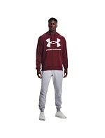Pánská mikina Rival Fleece Big Logo HD M model 17816175 690 - Under Armour