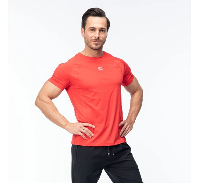 Pánské tričko model 22098410 s krátkým rukávem - IQ