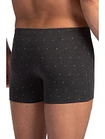 PÁNSKÉ ŠORTKY model 22106969 2PACK 3XL4XL - Lama