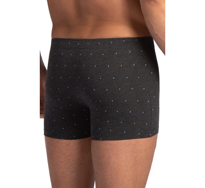 PÁNSKÉ ŠORTKY model 22106969 2PACK 3XL4XL - Lama