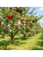 REFLEXNÉ ŠTÍTKY PROTI VTÁKOM 29 CM 4KS