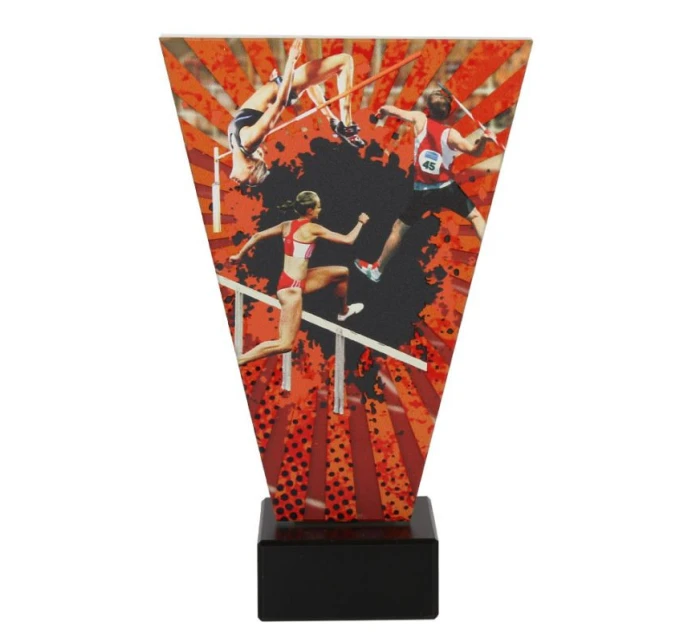 pro model 21363931 pro model 21363931