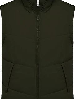 K Vesta 20. green model 22512289 - Kariban