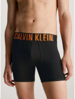 Pánske boxerky 000NB2603A GXL black - Calvin Klein
