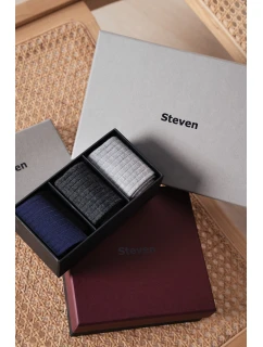 Ponožky model 21320580 Pánské Boxy A'3 4146 - Steven