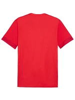 Puma teamGoal Matchday Jersey M 705747 01 muži