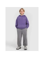 Chlapecká mikina s kapucí model 21816992 - 4F Chlapecká mikina s kapucí model 21816992 - 4F