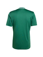 Pánske tričko adidas Campeon 25 Jersey green JF6063 pánske