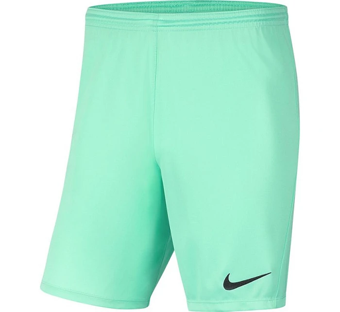 Pánska obuv Dry Park III NB K M BV6855 354 - Nike