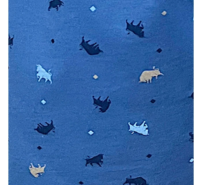 Pánské trenýrky model 20732342 Comfort - Cornette