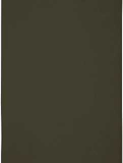 Deluxe 50 Ručník  olive green model 22526964 - The One Towelling