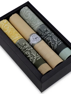 Pánske vreckovky CH-540 sada 3 ks