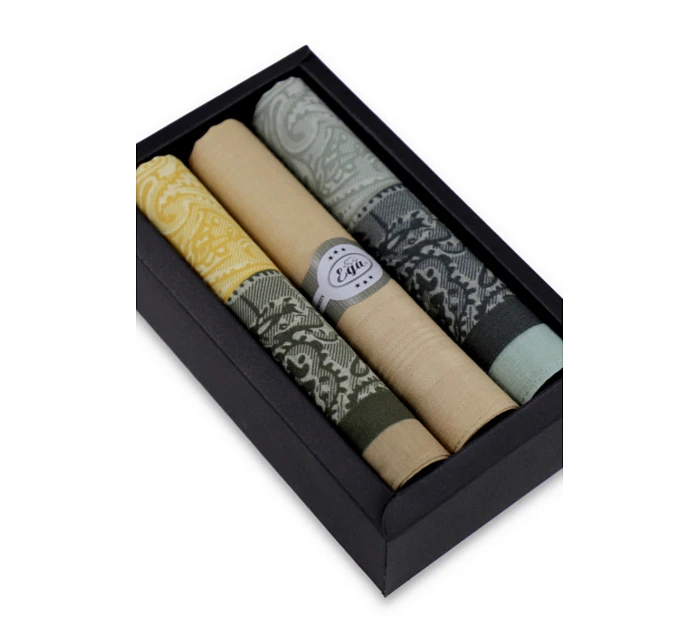 Pánské kapesníky  3ks model 22072923 - EGA