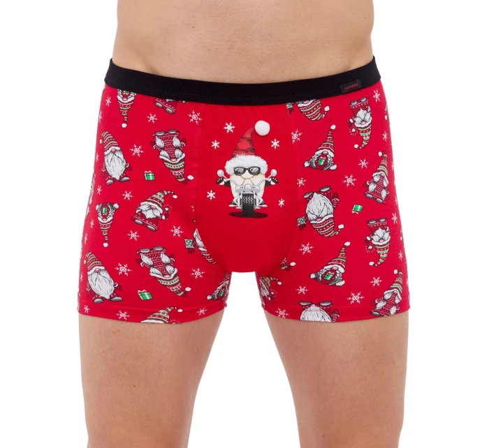 Pánské boxerky model 20648810 Rider - Cornette