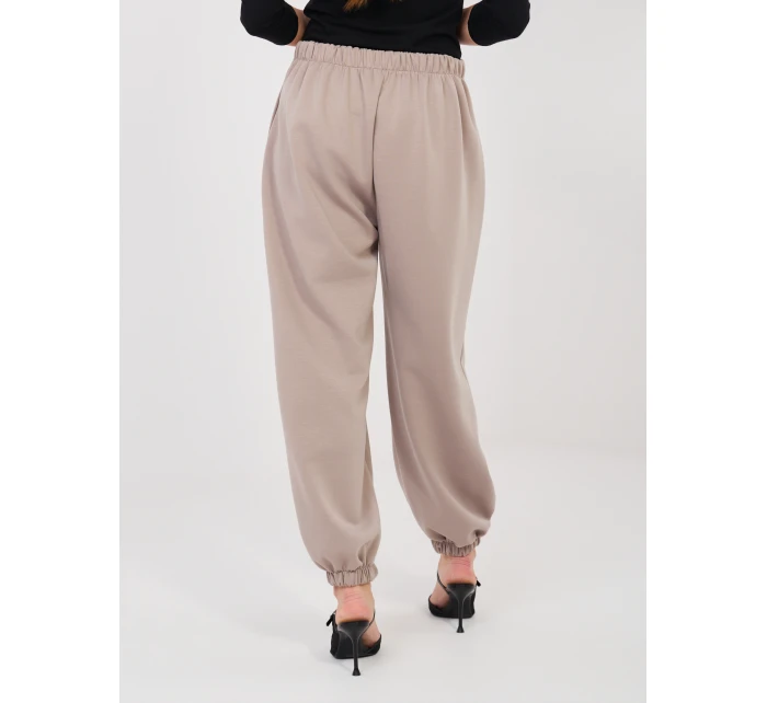 Spodnie IT SP model 21902612 ciemny bezowy - FPrice