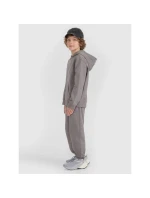 Chlapecká mikina s kapucí model 21756972 - 4F Chlapecká mikina s kapucí model 21756972 - 4F