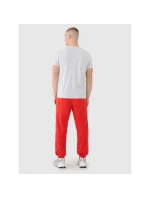 Spodnie dresowe męskie model 21460755 - 4F Spodnie dresowe męskie model 21460755 - 4F