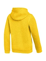 Dětská mikina Park 26 Fleece Hoodie yellow model 21950267 719 - NIKE