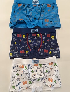 Chlapecké boxerky model 22066158 - Lovelygirl