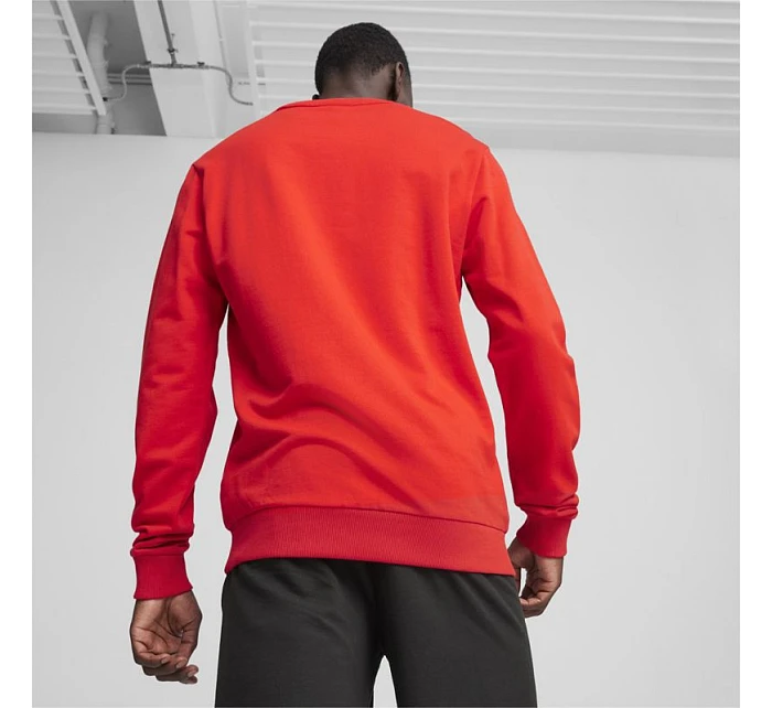 Pánska mikina Puma Team Goal Casuals Crew Neck M 658592 01