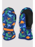 LYŽIARSKE RUKAVICE RN045