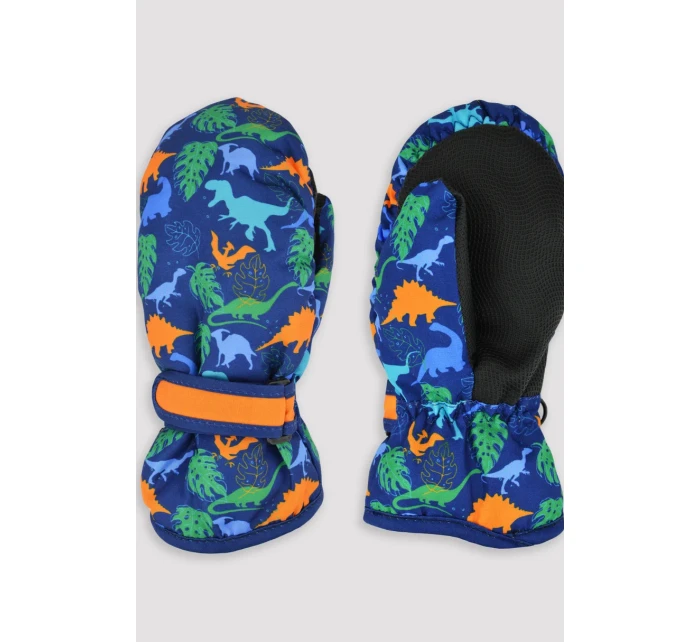 LYŽIARSKE RUKAVICE RN045