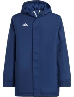 Bunda Adidas Entrada 22 Stadium Jr IB6079