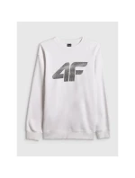 Pánská mikina bez kapuce model 21877664 - 4F Pánská mikina bez kapuce model 21877664 - 4F