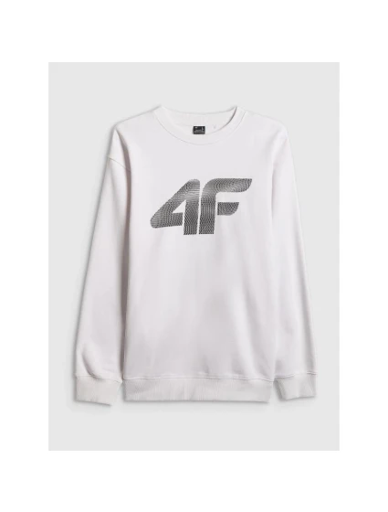 Pánská mikina bez kapuce model 21877664 - 4F Pánská mikina bez kapuce model 21877664 - 4F