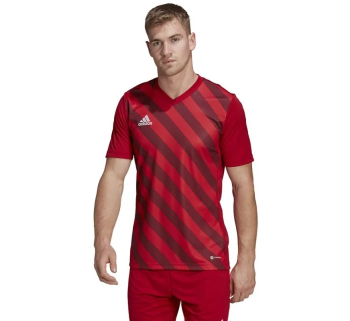 Pánsky dres Entrada 22 Graphic Jersey M HB0572 - Adidas