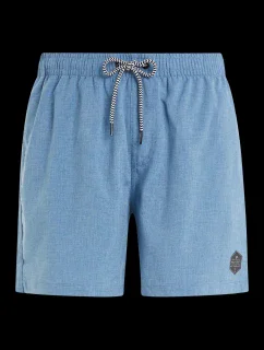 Pánské plážové šortky model 20438242 - Protest