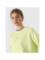 Mikina Jr model 19912489 - 4F