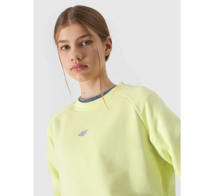 Mikina Jr model 19912489 - 4F