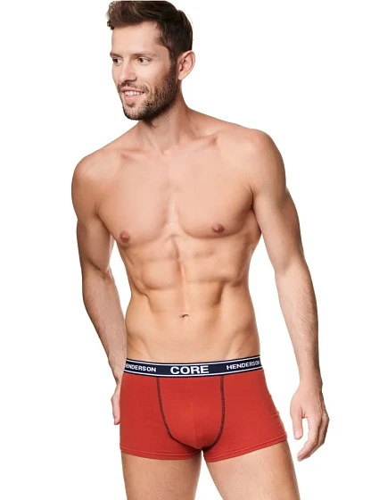 Pánské boxerky model 15864893 2pack - Henderson