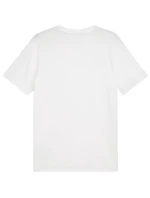 Puma Team Goal Casuals Tee M 658615 04 Pánske Puma Team Goal Casuals Tee M 658615 04 Pánske