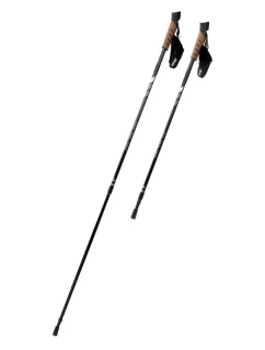 Palice na nordic walking ALPENSTOCK II