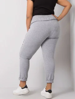 Tepláky RV DR 6300.19 sivá